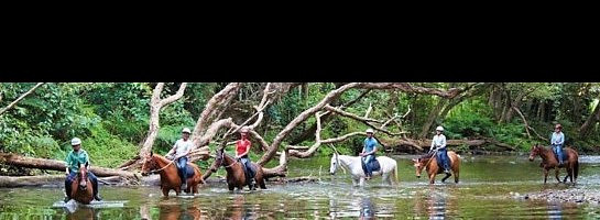 We Found Our Niche and Customers are Racing to Find Us