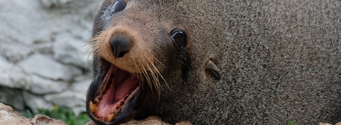 Who has helped you today? A SHOUT OUT to all the helpers!