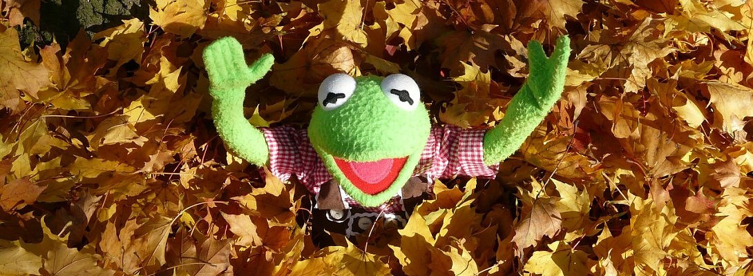 Looking like it'll be a good fall.