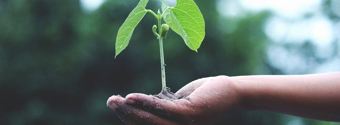 $1,345 Month - Continuing to Grow - November 2018 Progress Report