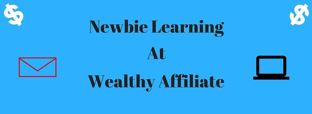 A Review of Wealthy Affiliate by a Newbie!