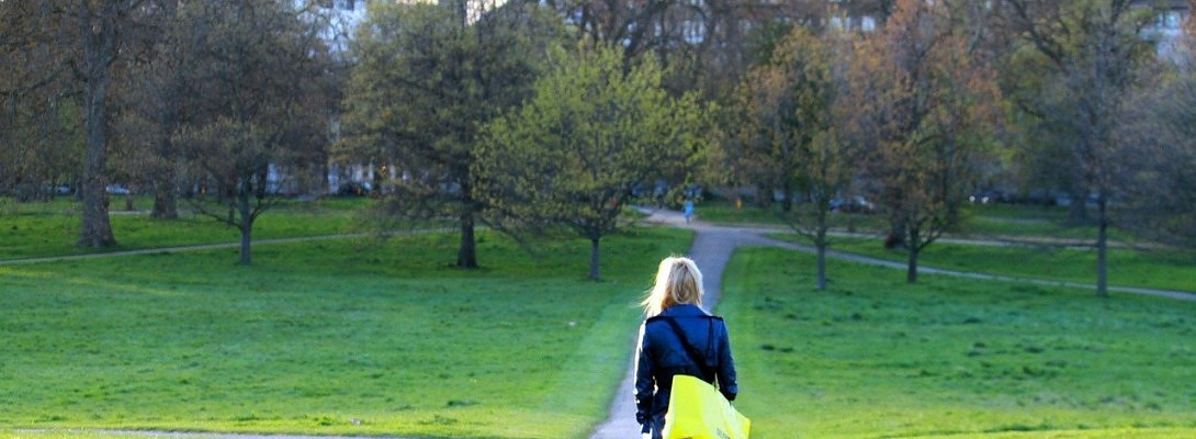 Best Niche Website Idears.