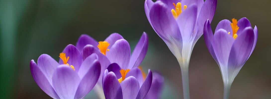 How to Respond to Gen Z Comments Without Embarrassing Yourself