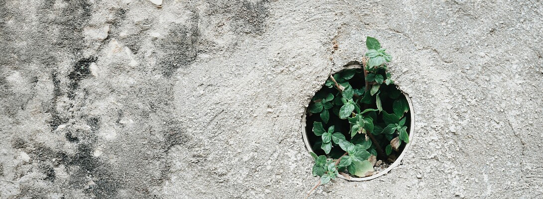 The Hidden Psychology Behind Age-Based Content: What They Don't Tell You