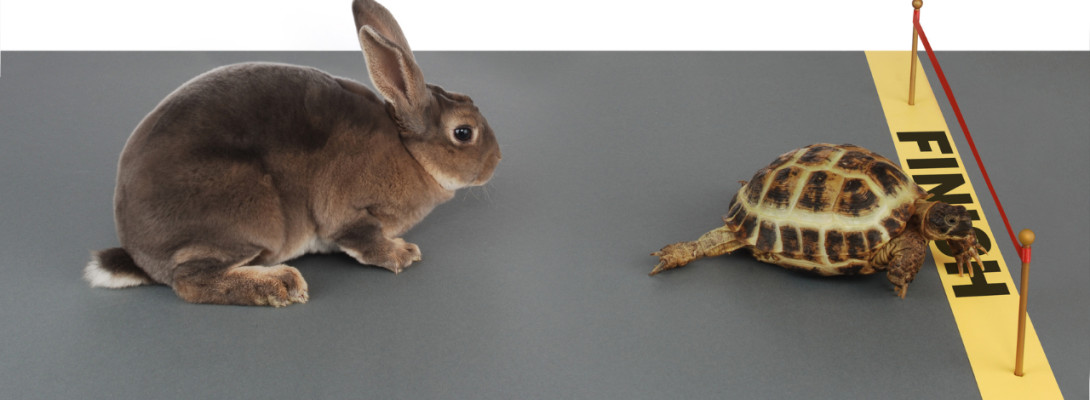 Have you started yet?