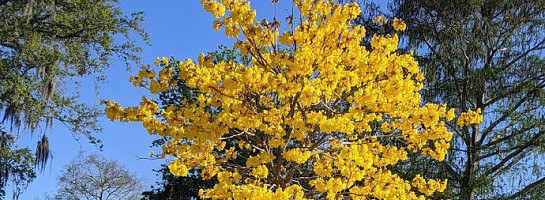 Happy Earth Day - I made the top 200 ranking in WA