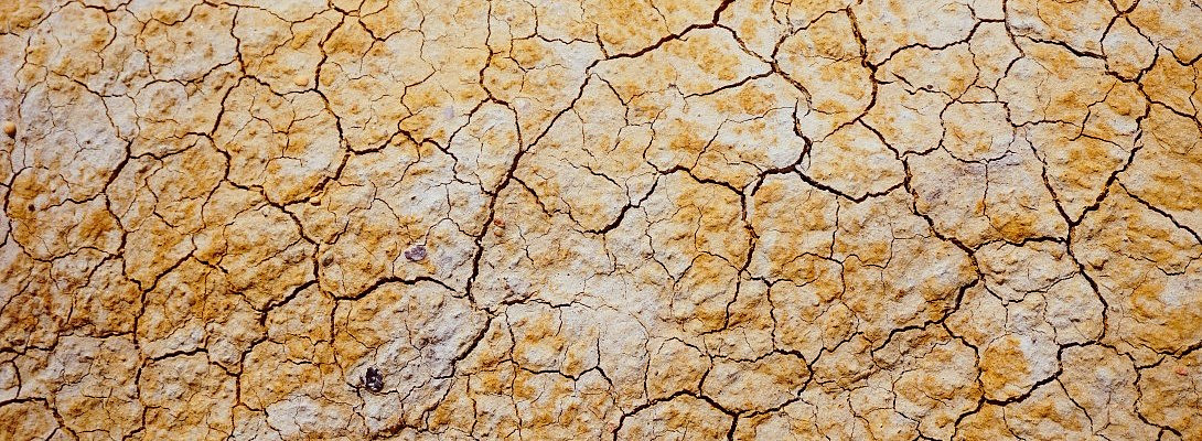 Not Every Day Is A Blog Day - What To Do When Lack of Inspiration Hits!