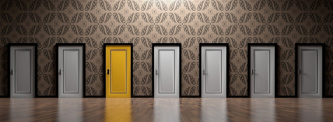 Which niche shall I choose?