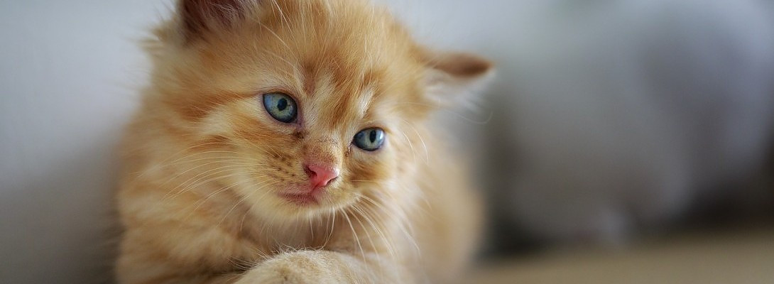 SAC 2nd Month Update - Disapointed