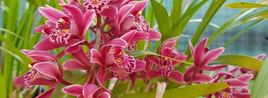 Achieving Your Goals Using AI: A Smart Approach