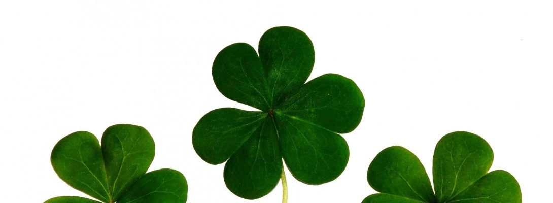 Lucky Shamrocks