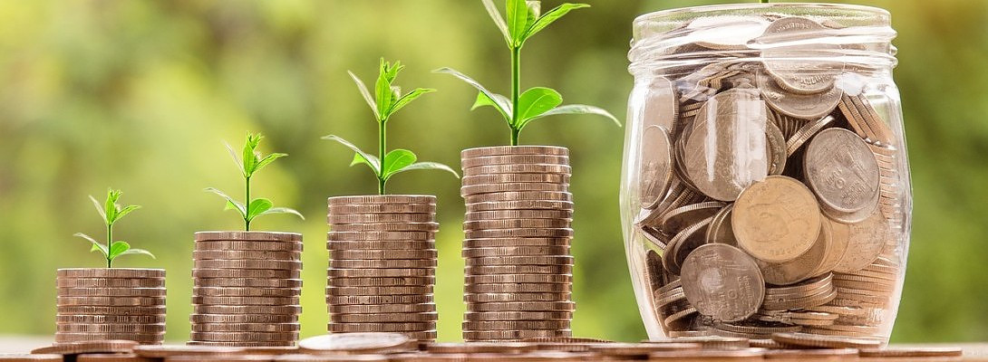 Largest Income Deposit Ever! Slow Growing!