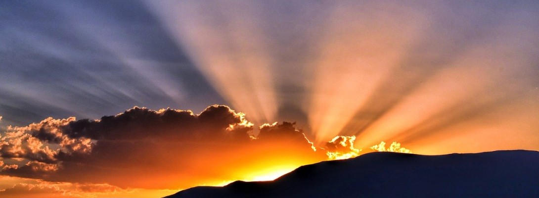 Just Sharing Some Successes