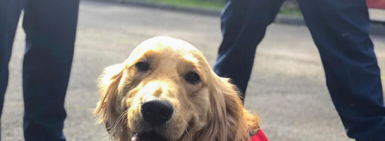 Meet Kerith! There is Good News in the World, Even During Disasters