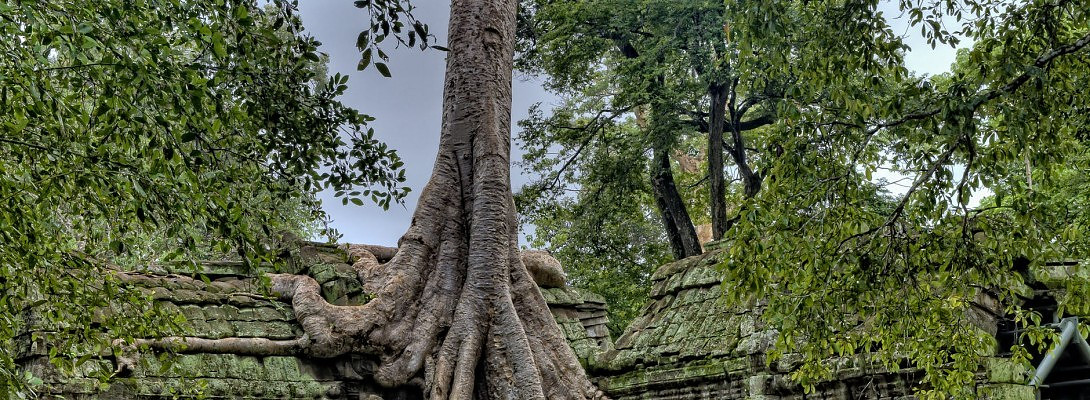 Being an old teacher