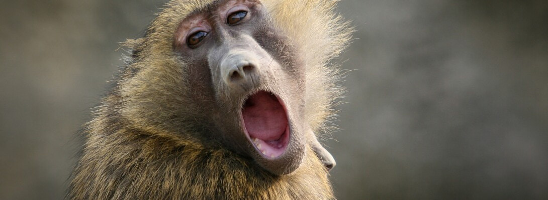 Yes, this is how I feel right now