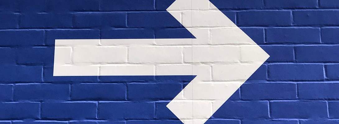 How To Chose Your Niche & Direction - Newbie Friendly