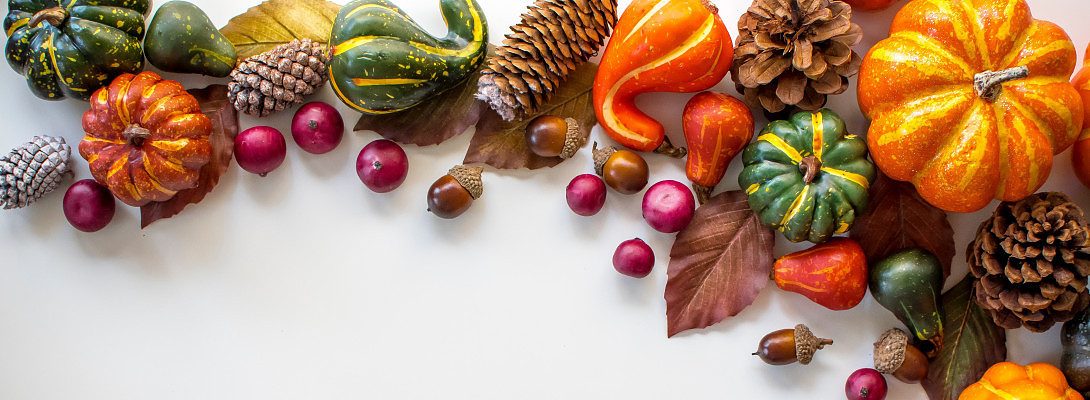 A Fall Harvest Compares to WA