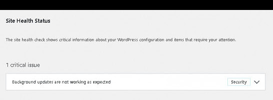 'wp_auto_update_core', true