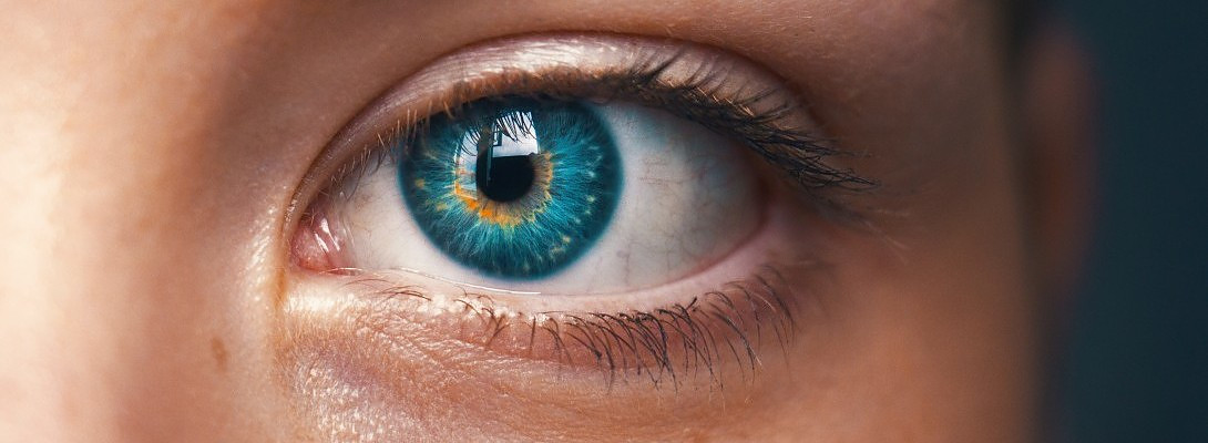 The Eye Opening Truth About What It Takes For You To Be Successful And Supportive In WA