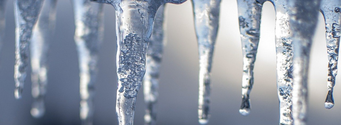 Pray for the Best! Plan for the Worst