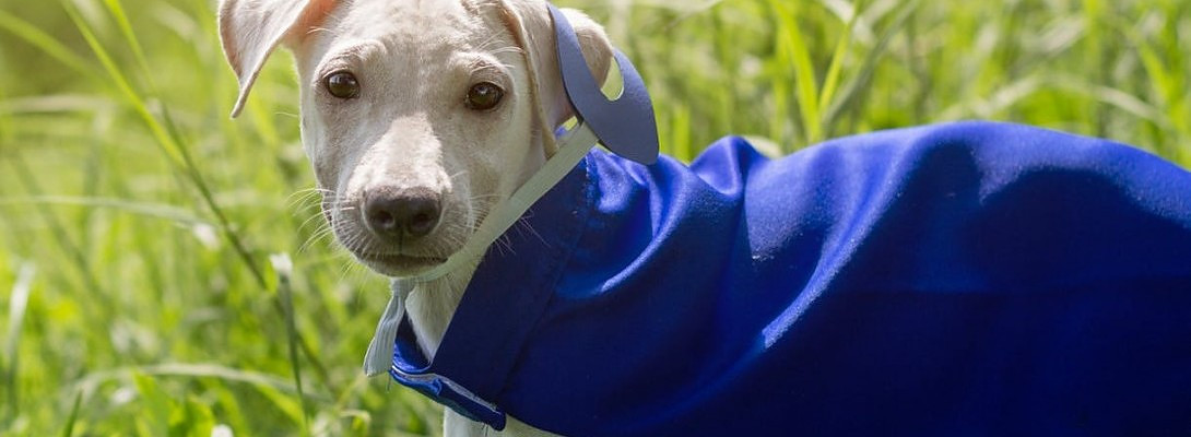 Super Affiliate - What is it?