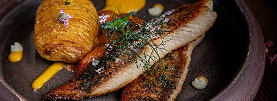 Eating What I Love in 2023 & Some of My WA Success in 2022