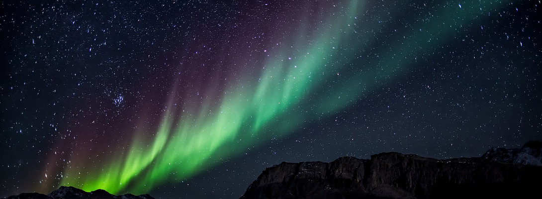 Healing the Planet and Eradicating the Corona Virus