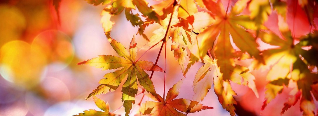 Keep Your Mind Open!