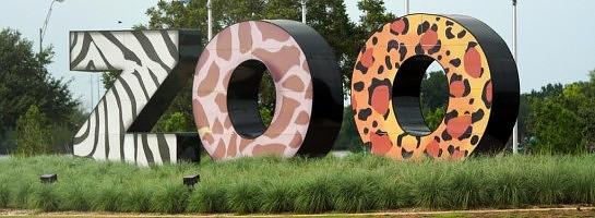 JVZoo Product Reviews