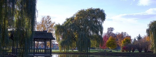 Photography - Calling all Amateurs