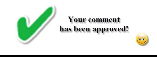 Comments Approved Plugin - Are you missing out?