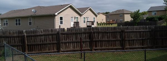 FRISATSU-Sunshine on a Cloudy Day!