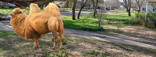 Tenebrific Tuesday's T-Storms