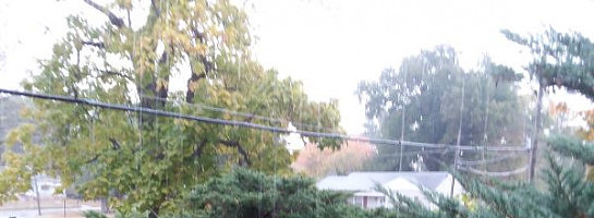 Rainy Weather Wednesday (HUMP) day!