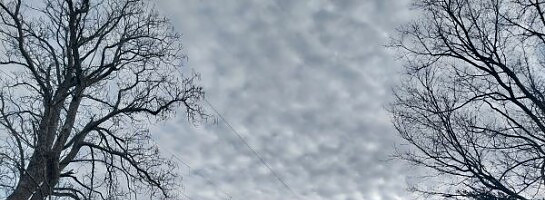 Monday Makes Momentous Momentum Magical!