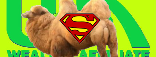 Wonderful Wednesday Wanderings & Workings.