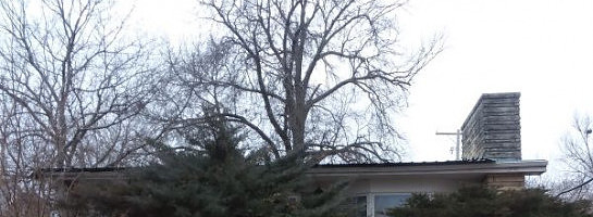 At Long Last-Another Glance Inside the Ebay House! Not for the Faint of Heart!