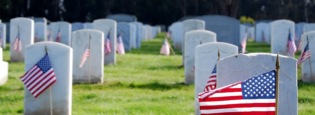 Happy Veteran's Day!