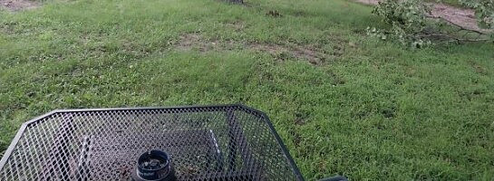 Finally Friday's Frisatsu!