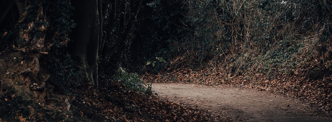 The pathway 2 success