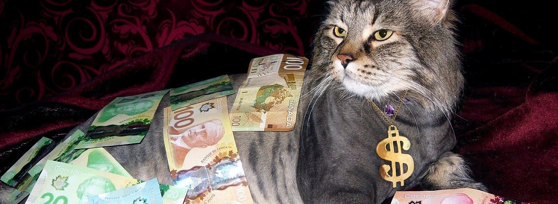 What A SUPER Month! February 2020 Income Report