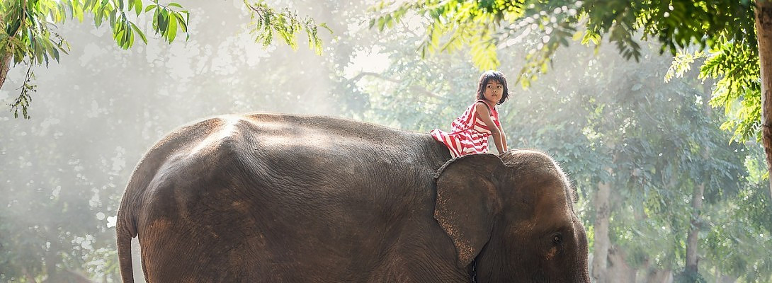 Affiliate Marketing Help Needed