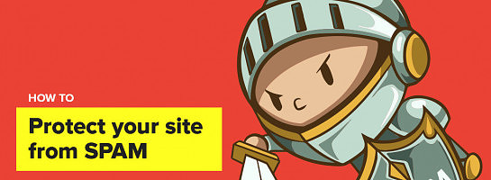 How to protect your site from SPAM*****