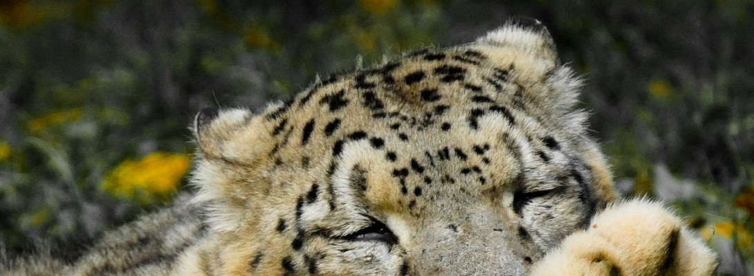 Losses And Gains-All Good!