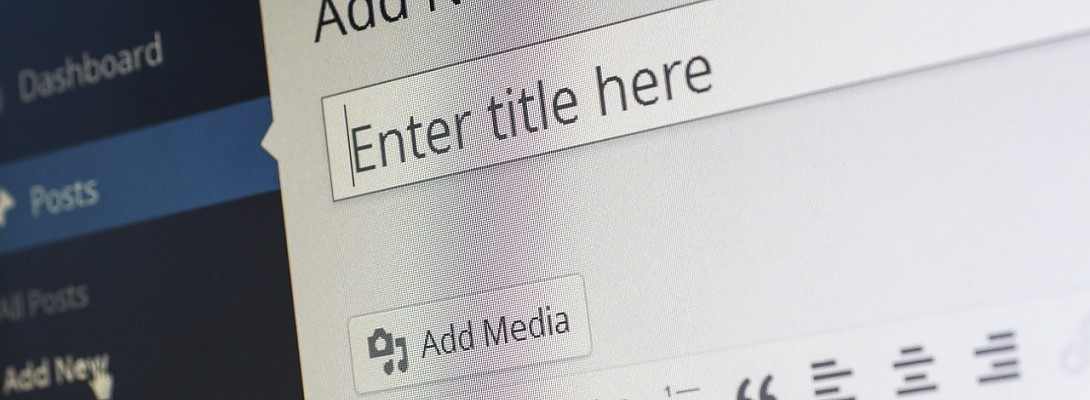 WordPress Premium Themes