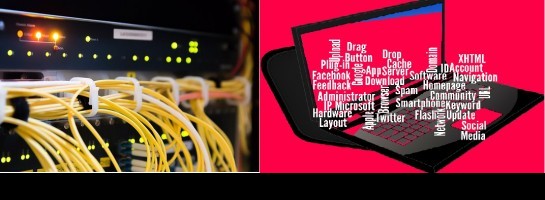 Site health down because of too many plugins?