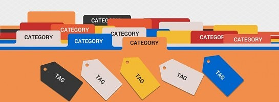 Working On Categories and Canonical URLs