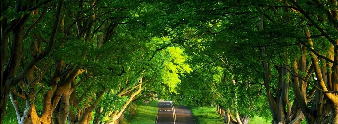 Backing up the data on our sites