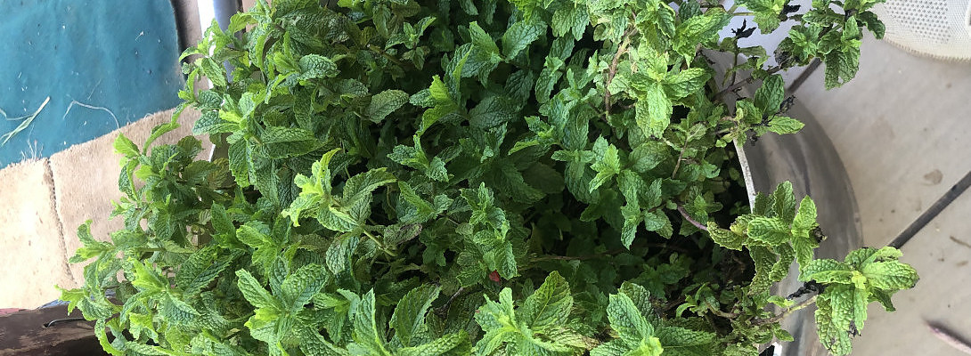 Three Rules of Success I learned from Network Marketing Training